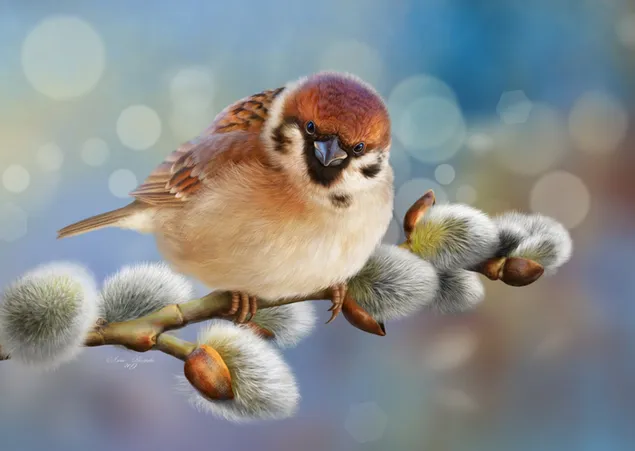 Netter Vogelspatz auf Baumast herunterladen
