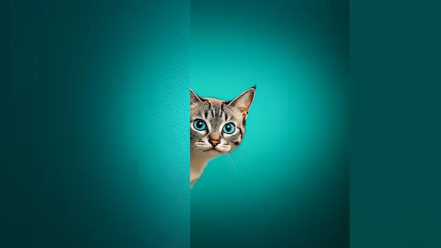 prezemete simpatichna machka skriena zad dzidot