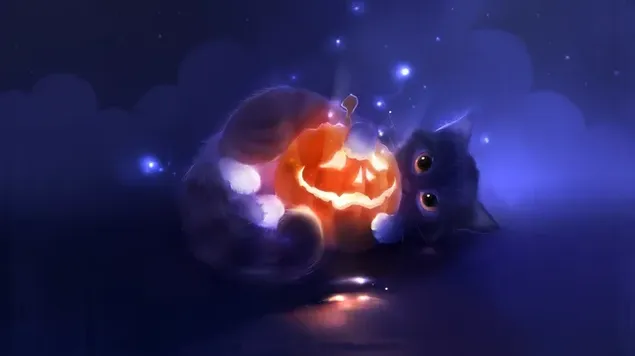 Slatka mačja bundeva koja drži Jack-o'-lantern HD pozadina