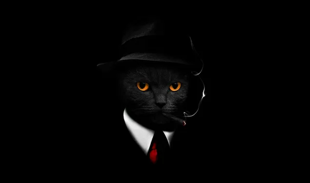 Nette Katze, die Zigarre auf schwarzem Hintergrund raucht herunterladen