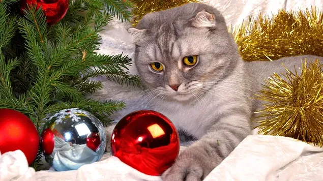 Lindo gato gris jugando con la decoración navideña