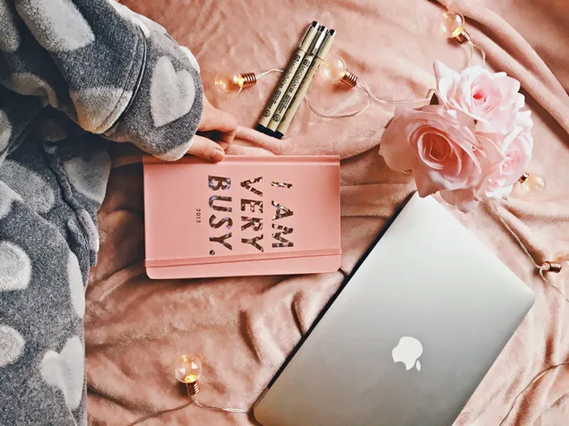 suloinen ''i am very kiire'' -suunnittelija, macbook, kukkia ja valot lataa