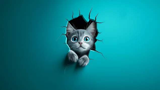 prezemete slatko mache koe dzirka od dzidot