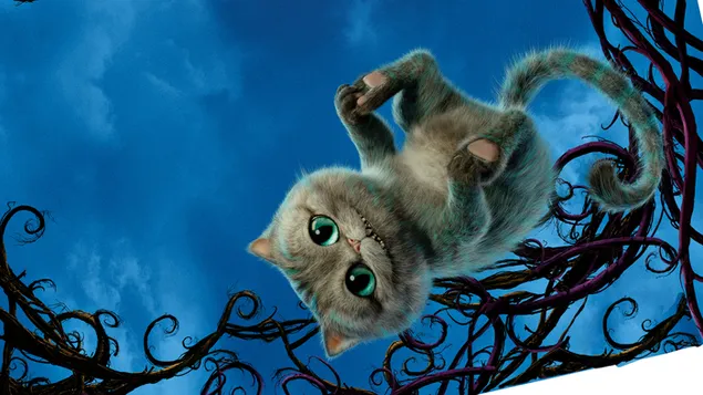 Søde positurer af den grønøjede spil-elskende kat i alice gennem skueglasfilmen download