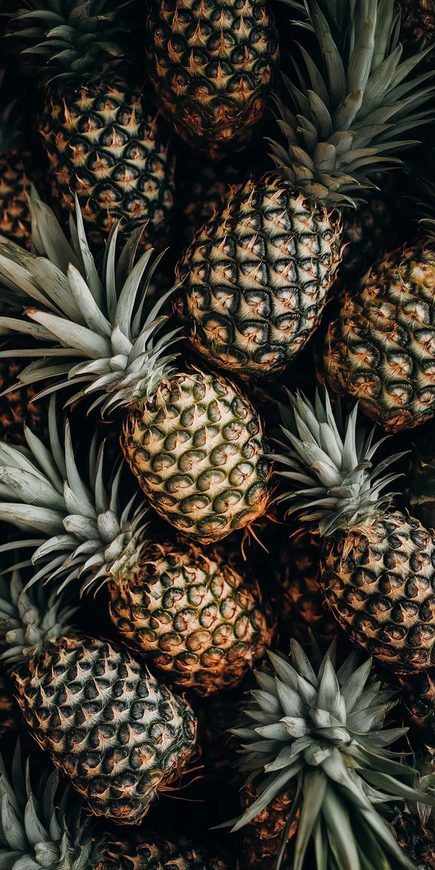 mrqm khh vml rvkh shl pyrvt nns trvpyym rbym hvrd