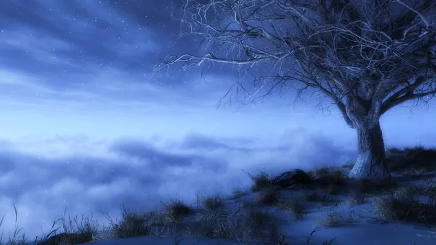 Taustakuva Tumma kirottu puu 2K