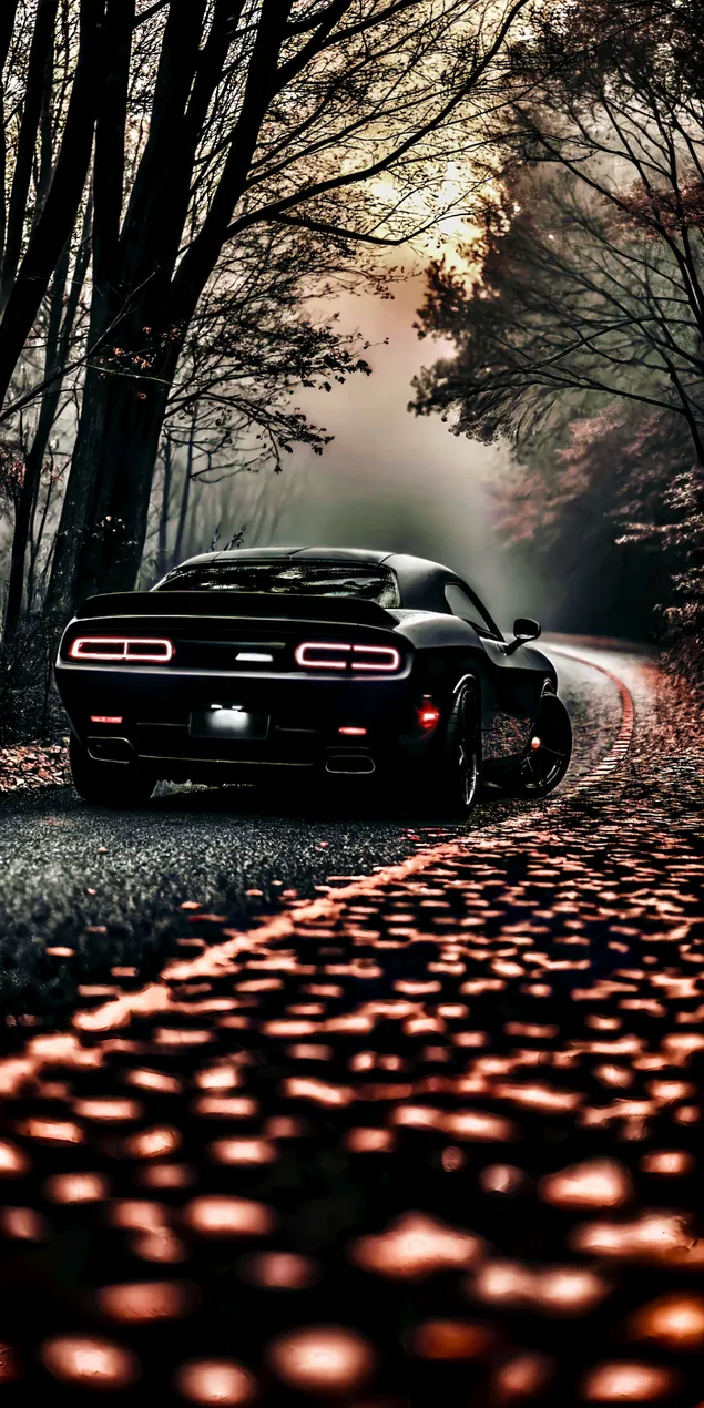 Tapeta Temná, náladová lesní cesta s výkonným muscle carem projíždějícím podzimním listím 2K