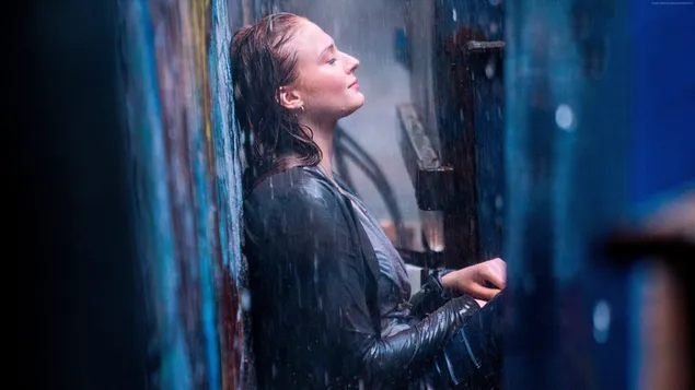 دارك فينيكس - جان غراي ايكونيك دارك فينيكس 4K خلفية