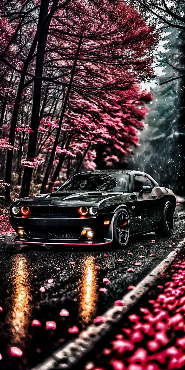 tmave sportovni auto zaparkovane na mokre silnici obklopene podzimnim listim stahnout