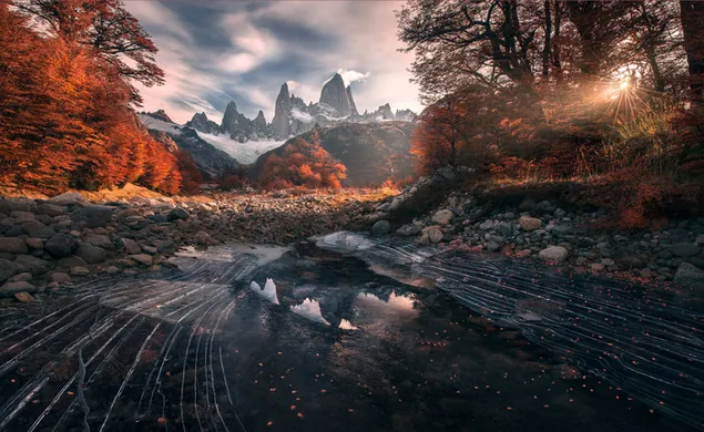 La luz del día se filtra a través de las montañas nevadas y los árboles en otoño