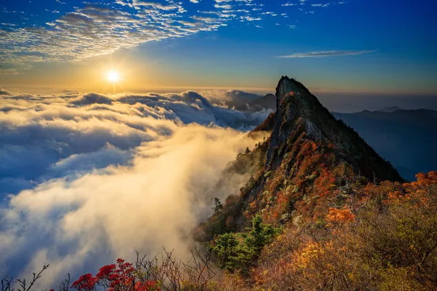 曇りと霧の丘の日光