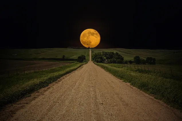 De volle maan aan het einde van de onverharde weg met zijn prachtige uitzicht dat de wereld verlicht en de groene planten rond de onverharde weg