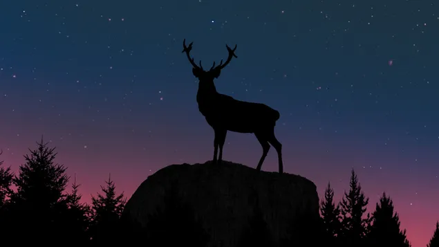 Deer in the Forest download