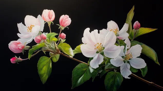 Нежни цветове на клон на фона на дълбока земя 2K тапет