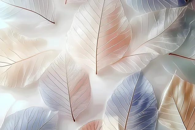 Harmonia delikate: Modele abstrakte të gjetheve 2K sfond