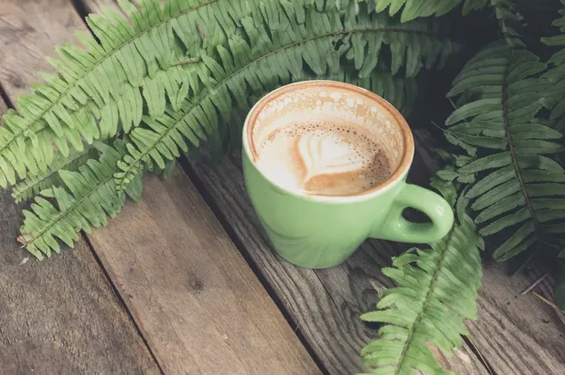 Cappuccino yang lazat dalam cawan hijau di atas meja kayu dengan tumbuhan paku 4K kertas dinding