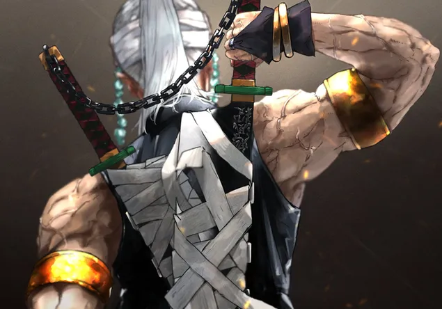 Demon Slayer: kimetsu no yaiba tengen uzui pose carismática desde atrás HD fondo de pantalla