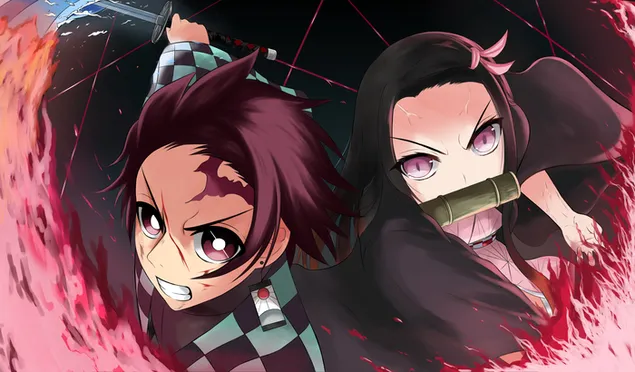 Demon Slayer - Tanjirou, Inosuke & Nezuko Kamado (sredi boja) 4K ozadje