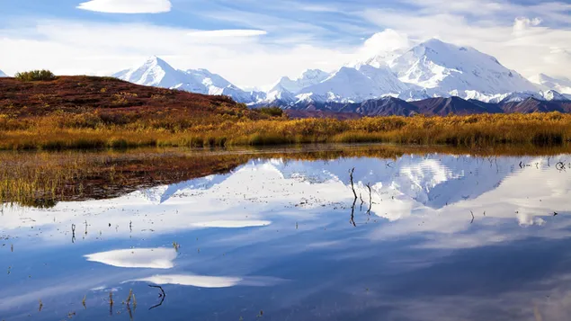 denali nasionale park foto van berge en meer refleksie aflaai