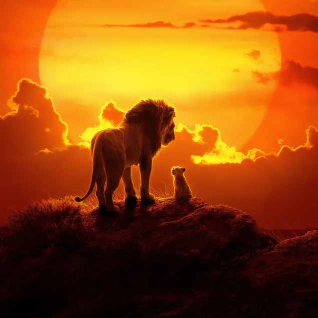 Der König der Löwen (2019) herunterladen
