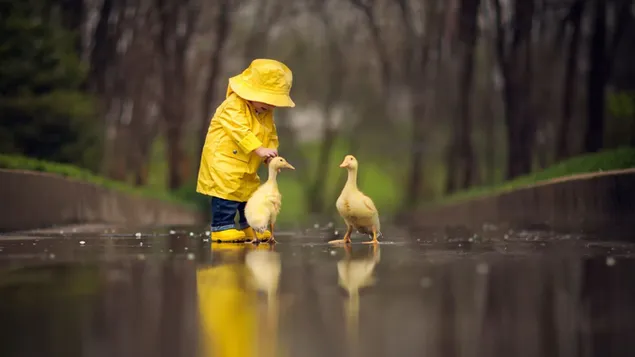 Der süße Junge im gelben Regenmantel vor verschwommenen Bäumen liebt gelbe Enten herunterladen