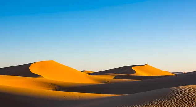 沙漠沙丘：金色的沙丘，蔚蓝的天空，宁静的景色 4K 壁纸