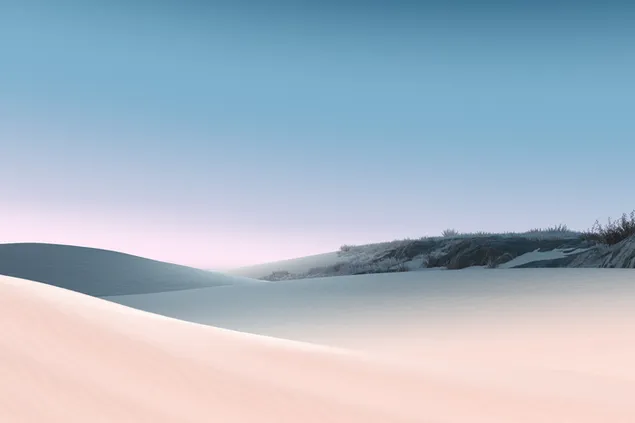 Gambar gurun dengan bentuk pasir di mana tanaman sangat jarang terlihat unduhan