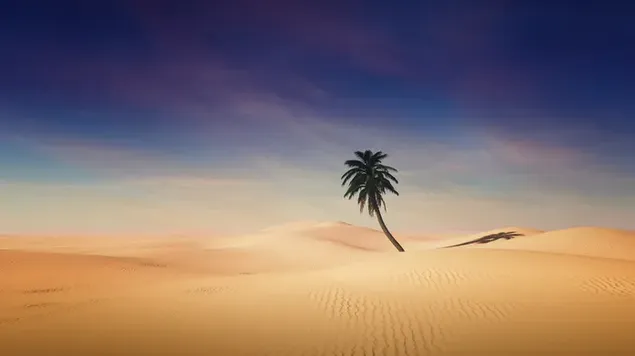砂漠の風景の風景