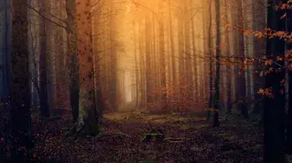 夕陽下被遺棄的人 4K 壁紙