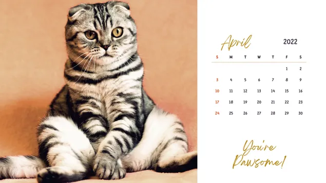 デジタル猫をテーマにしたデスクトップカレンダー、2022年4月 ダウンロード