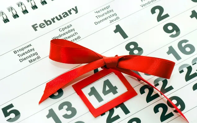 Día de San Valentín - 14 de febrero