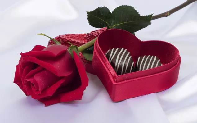 Día de San Valentín - chocolate y la rosa