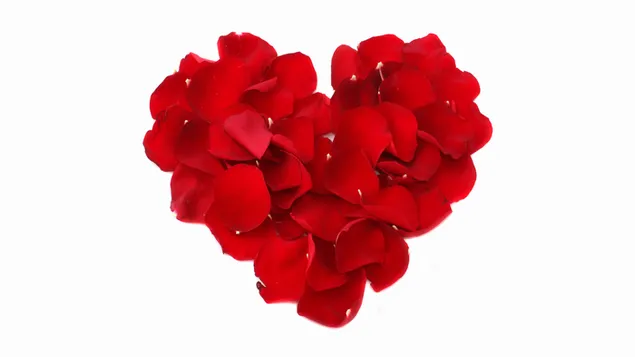 Día de San Valentín - corazón de pétalos de flores de rosas rojas