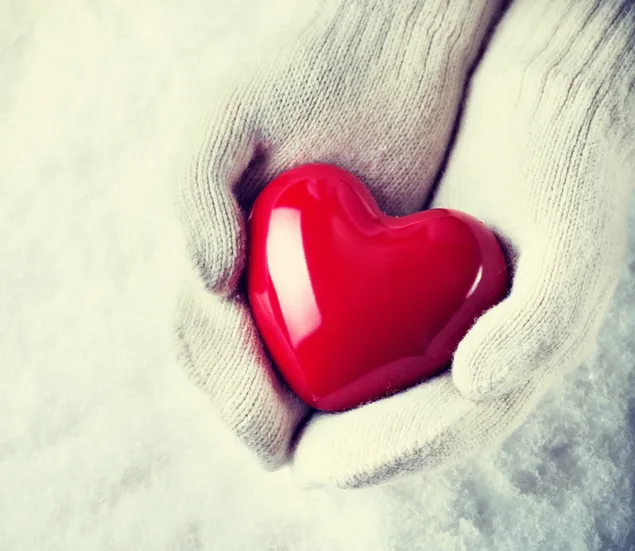 Día de San Valentín - hermoso corazón en las manos