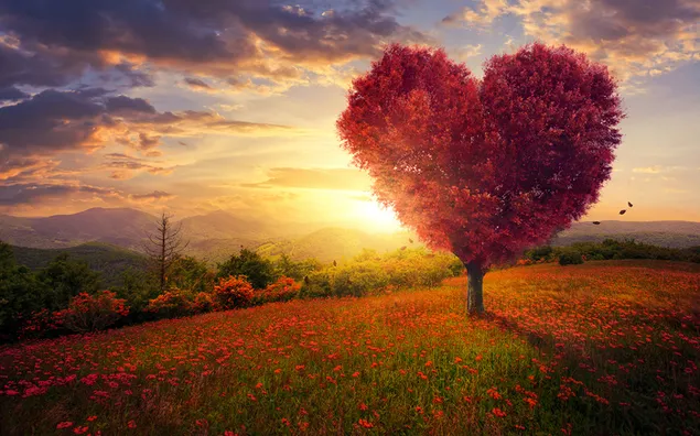día de san valentín - paisaje de árbol de corazón rojo