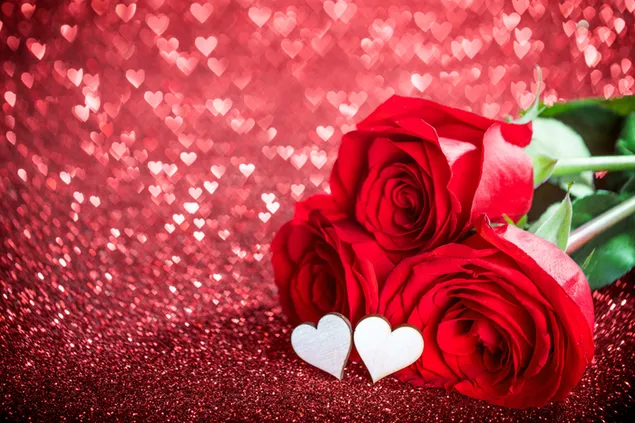 Día de San Valentín - rosas rojas y luces de corazón bokeh