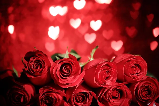 Día de San Valentín - rosas y corazones luces bokeh