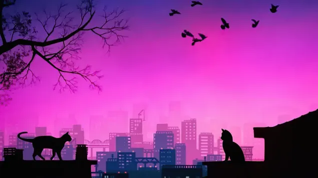 Jarak Antara Kucing 4K kertas dinding