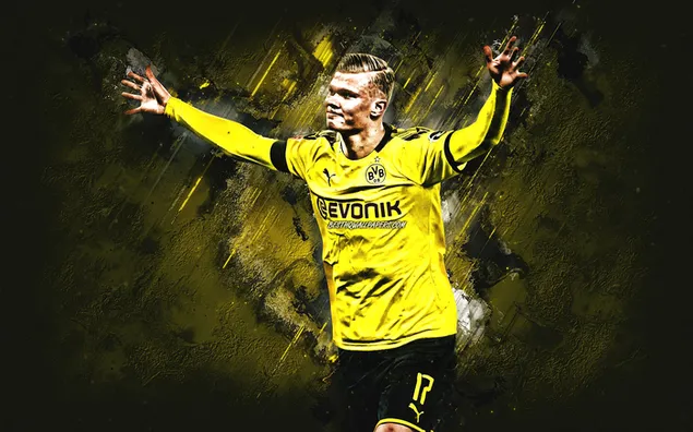 Doelman Erling Haaland . van de Duitse Bundesliga-club Borussia Dortmund