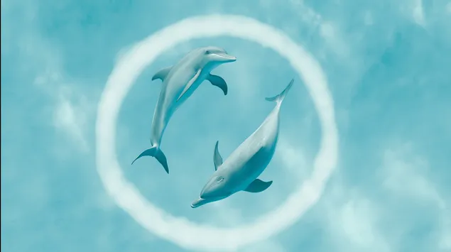 Dolfijnen spelen in helderblauw water met cirkelvormige rimpelingen 2K achtergrond