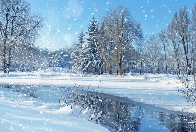 冬の白い風景 ダウンロード