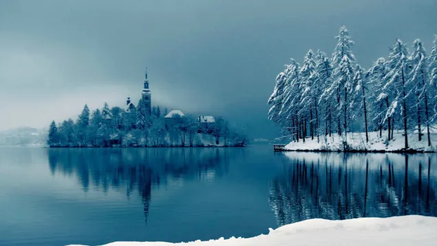 冬の湖での自然の反射
