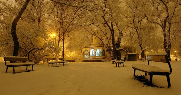 冬の夜の公園