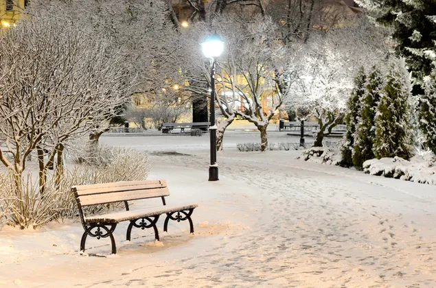 冬の夜の公園のベンチ