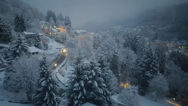 Dorf im Bergwald in nebliger Winternacht