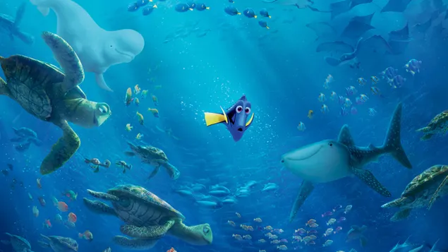 Dory iš "Ieškok Dory" 4K ekrano užsklanda