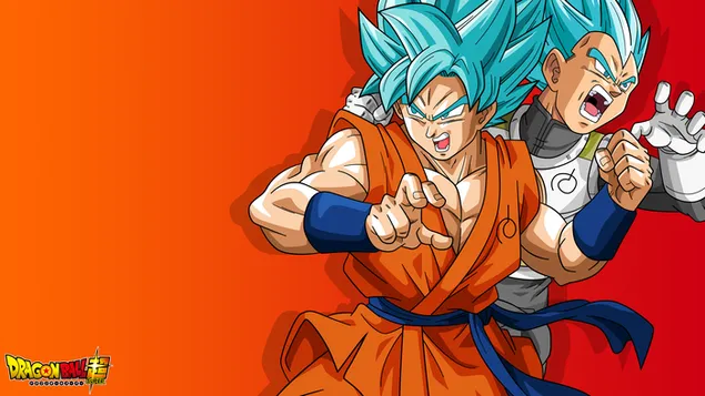 Dragon ball brothers download