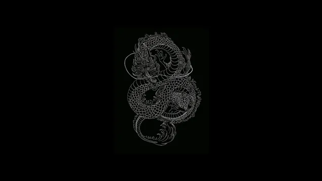 Dragon minimalist drawing black and white HD wallpaper download