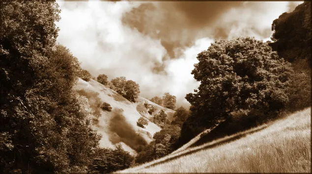 Espectaculares colinas sepia con árboles dispersos y cielo nublado 2K fondo de pantalla