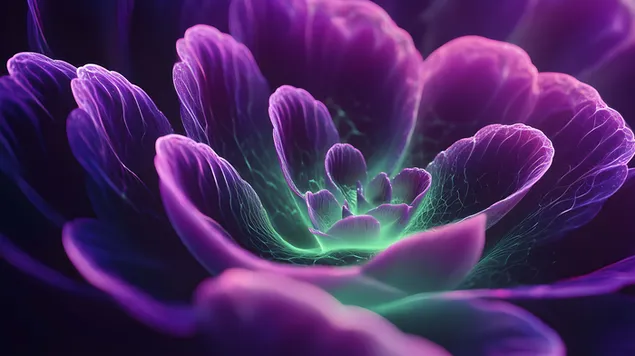 petales fractals luminescents reveurs sur toile sombre telechargement